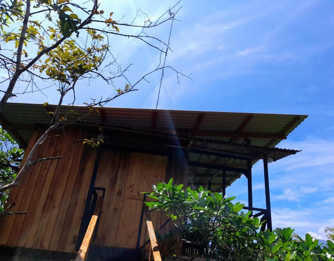 Onca Tours & Treehouses Katira Exterior foto