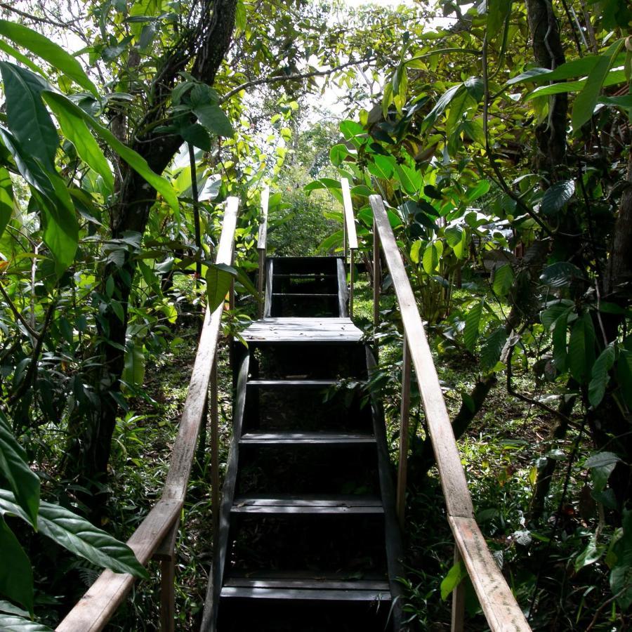 Onca Tours & Treehouses Katira Exterior foto