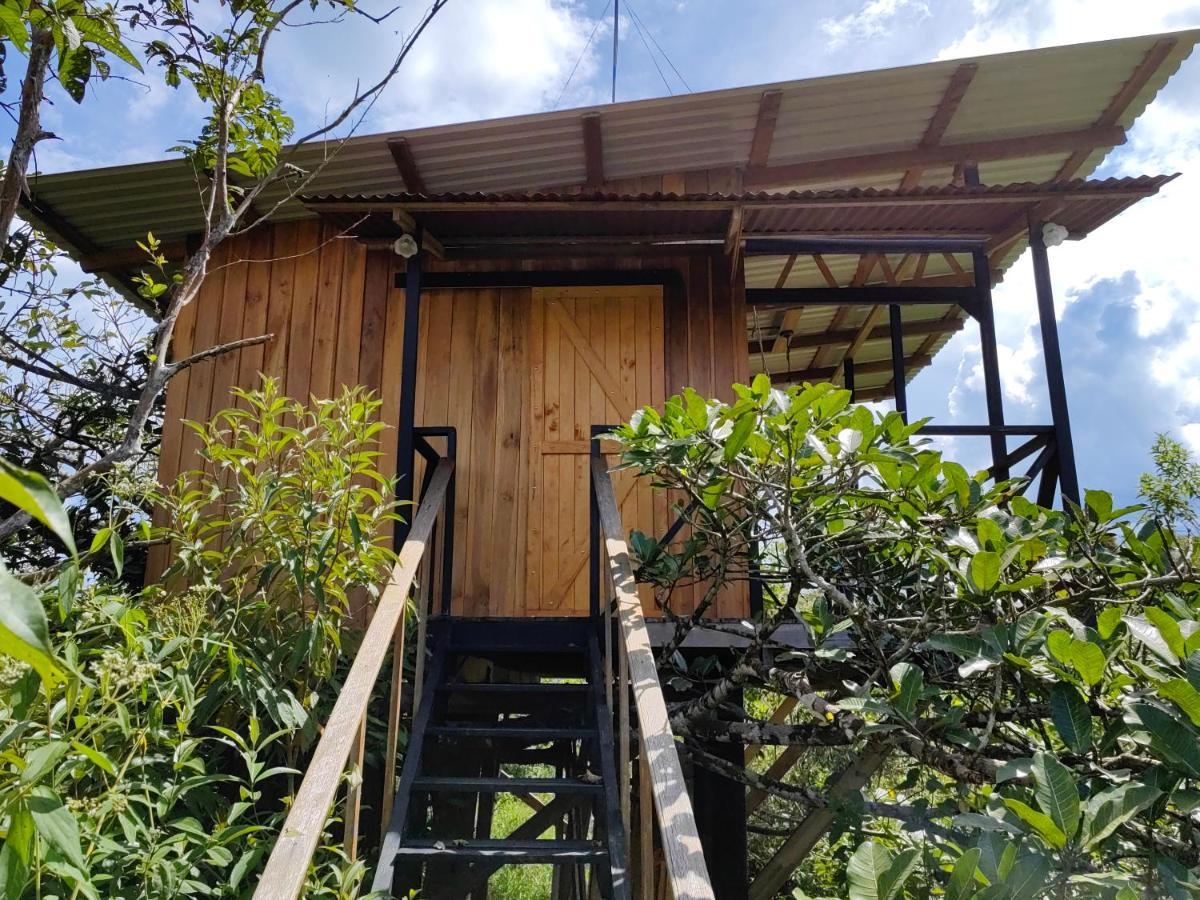Onca Tours & Treehouses Katira Exterior foto