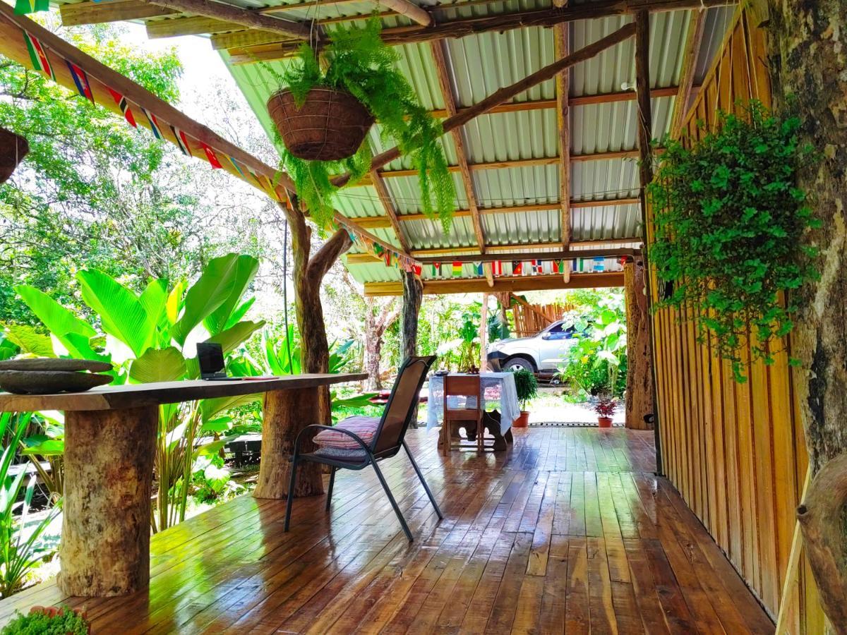 Onca Tours & Treehouses Katira Exterior foto