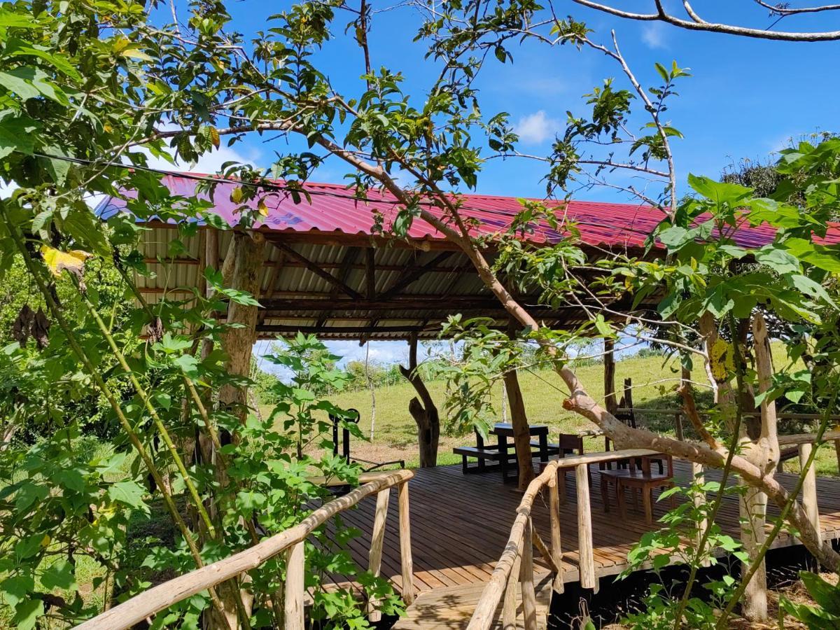 Onca Tours & Treehouses Katira Exterior foto