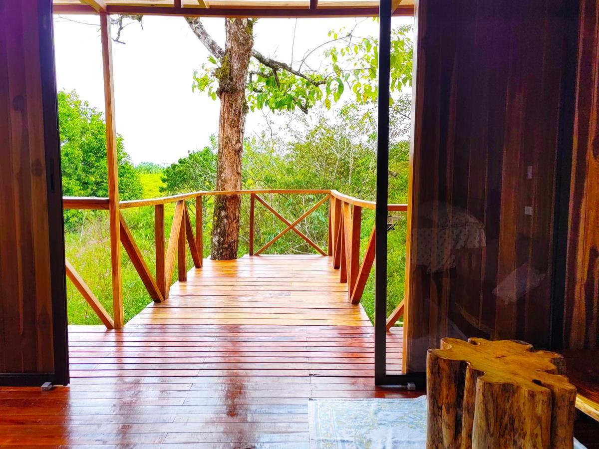 Onca Tours & Treehouses Katira Exterior foto