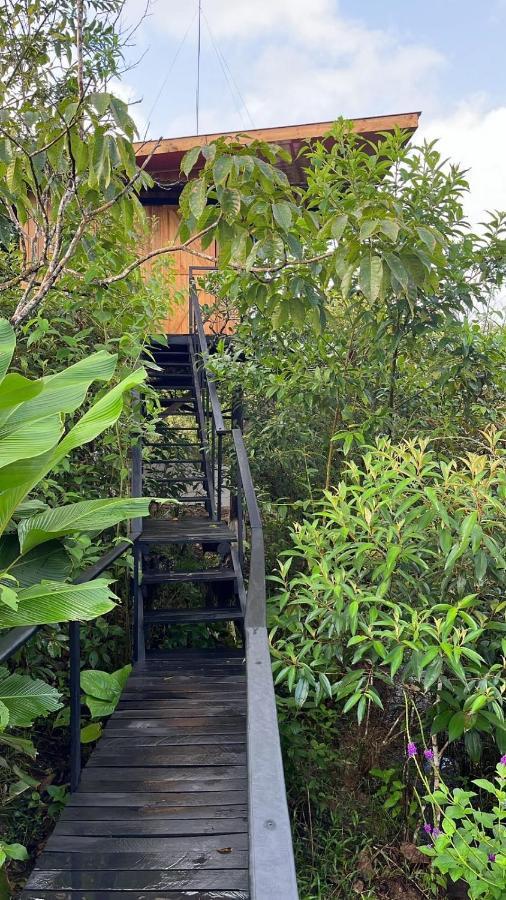 Onca Tours & Treehouses Katira Exterior foto