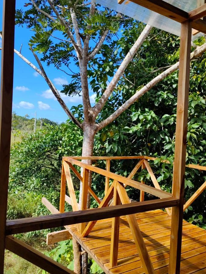 Onca Tours & Treehouses Katira Exterior foto