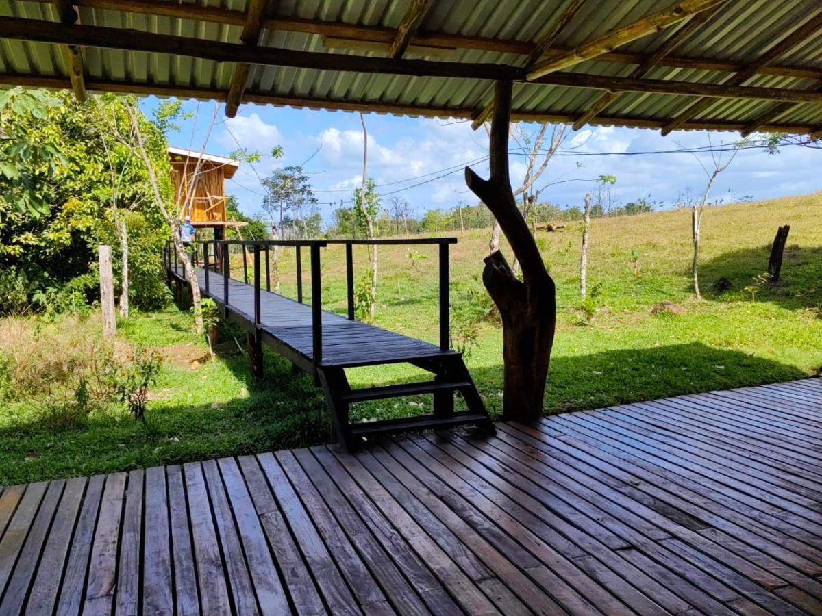 Onca Tours & Treehouses Katira Exterior foto