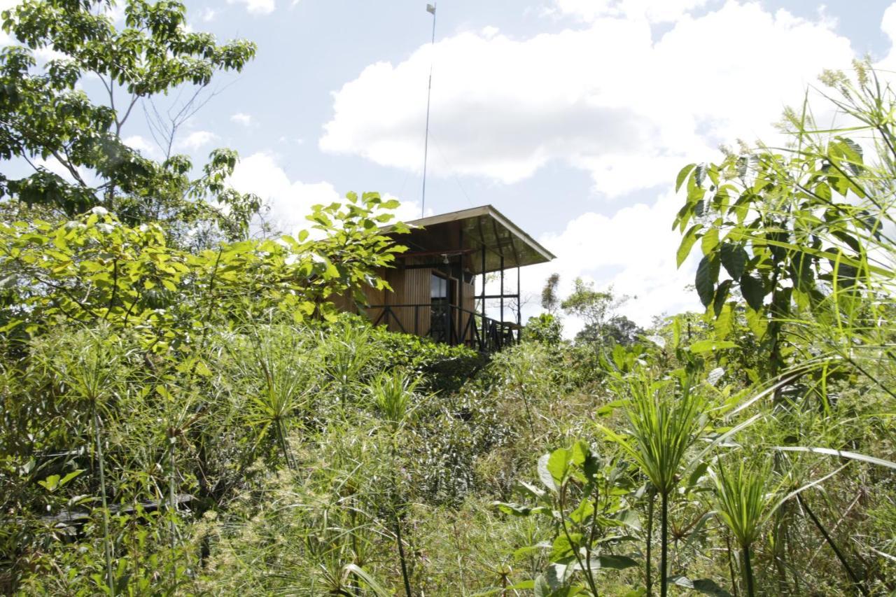Onca Tours & Treehouses Katira Exterior foto
