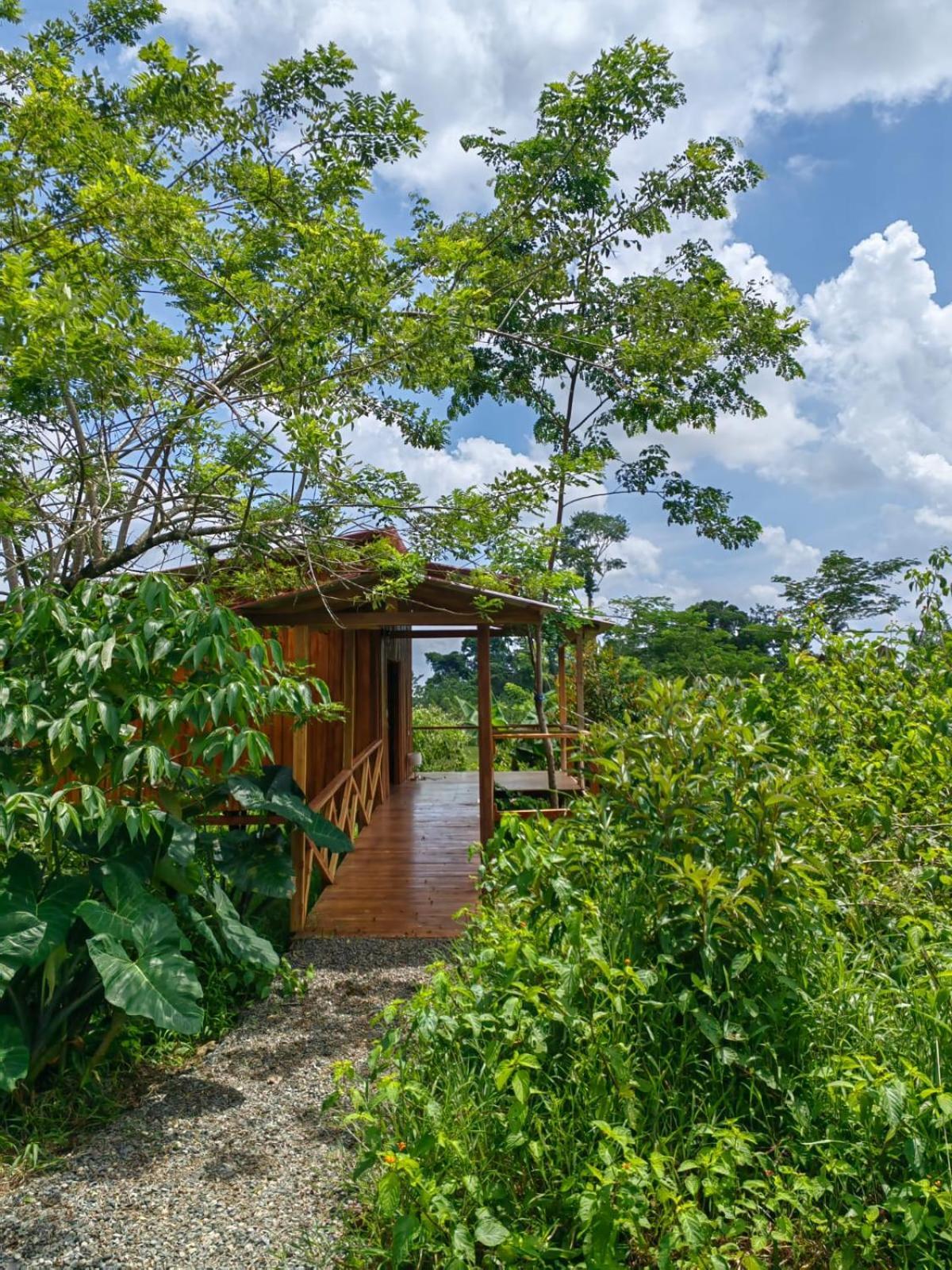 Onca Tours & Treehouses Katira Exterior foto