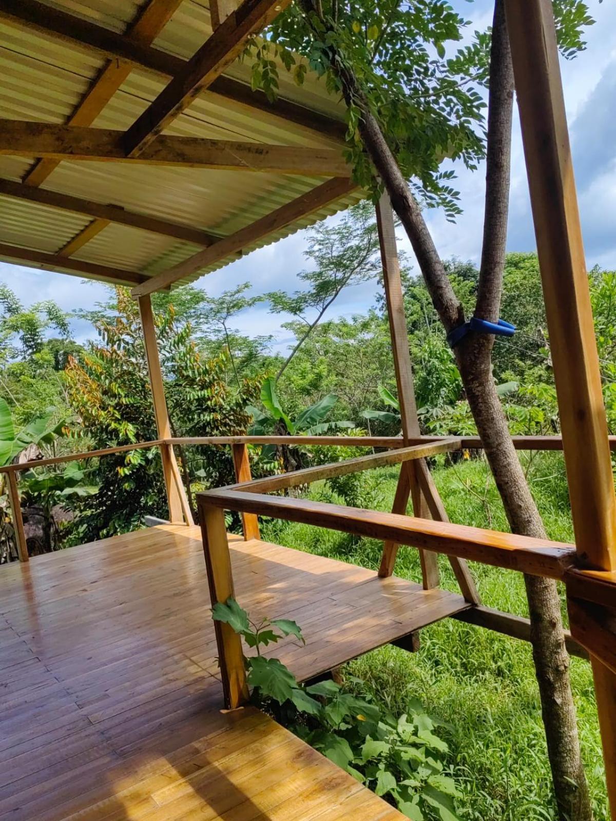 Onca Tours & Treehouses Katira Exterior foto